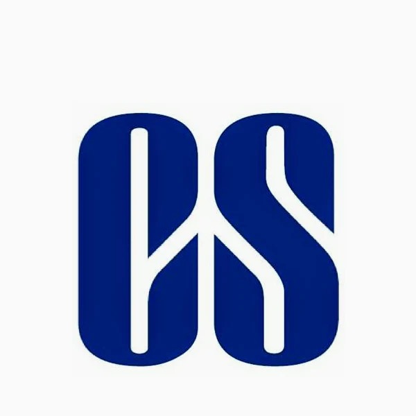 Puneet Bajaj and Associates Logo